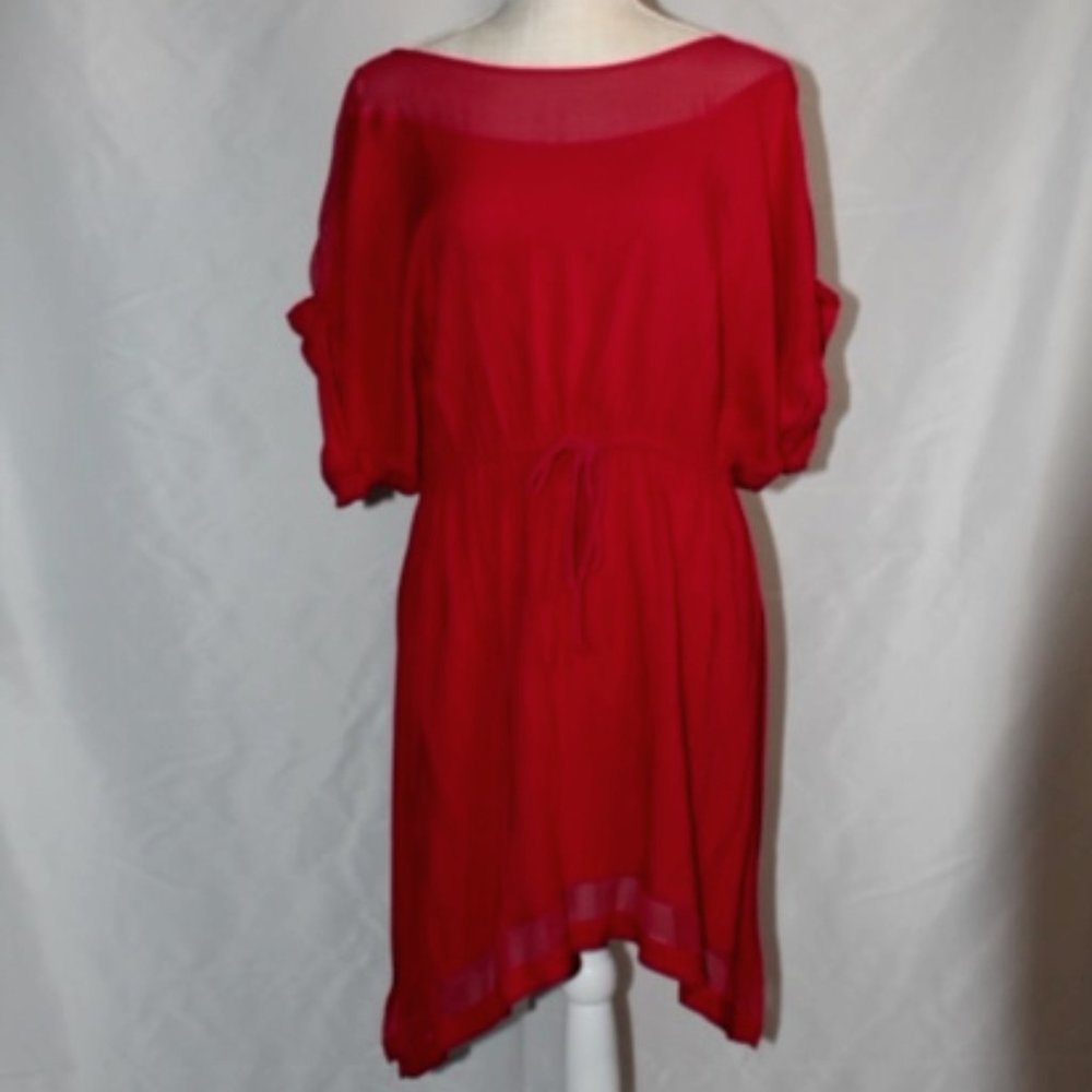 Express Red Dress